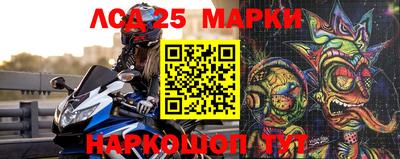 стаф Краснодар