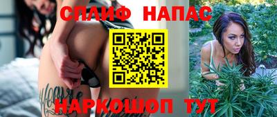 стаф Краснодар