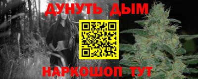 стаф Краснодар
