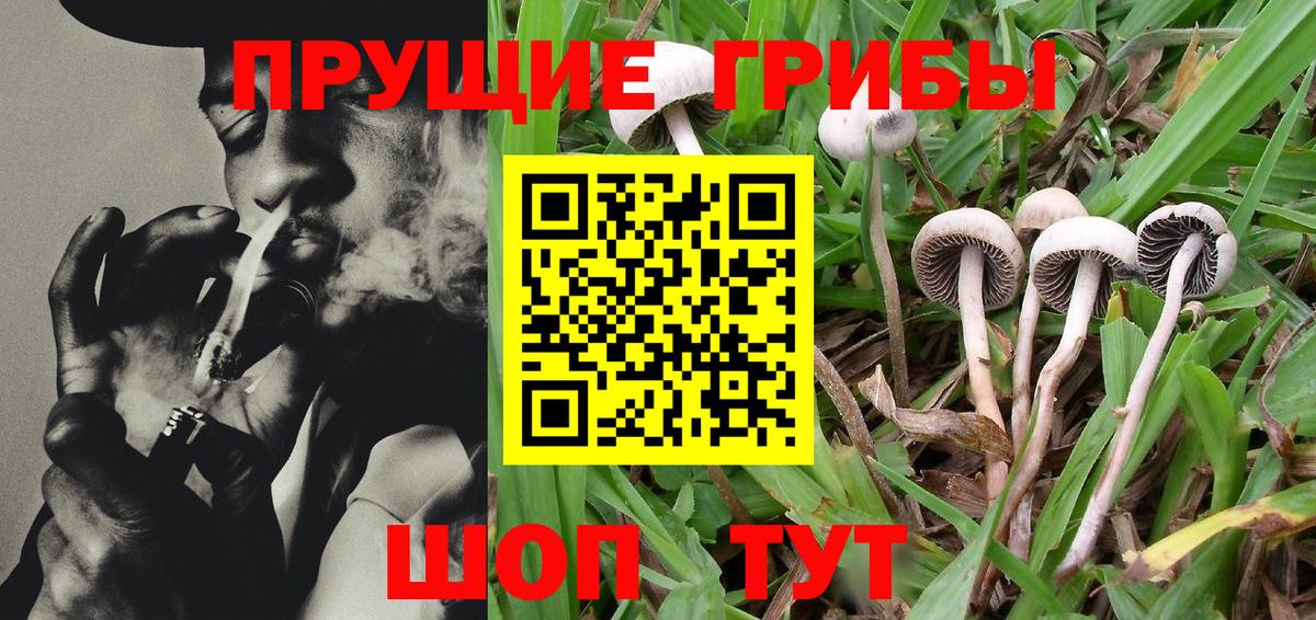 Коломна  Галлюциногенные грибы MAGIC MUSHROOMS  Вход с VPN 